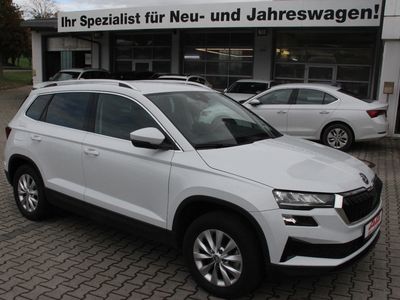 Skoda Karoq TDI 4x4 150PS Ambition LED Kamera ALU Sunset Adaptiv Tempomat